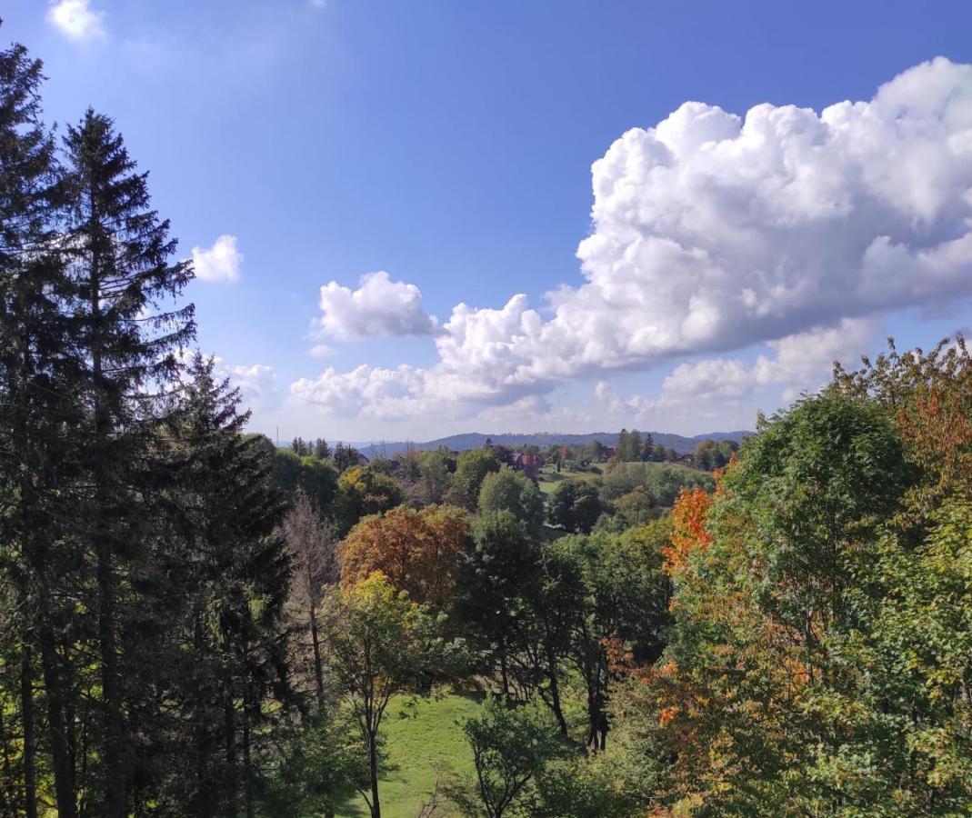 Fewo Harzer Weitblick, Hunde Willkommen, W-Lan, 2X Smart Tv, Dtv 4 Sterne, 4 Pfoten Braunlage Extérieur photo