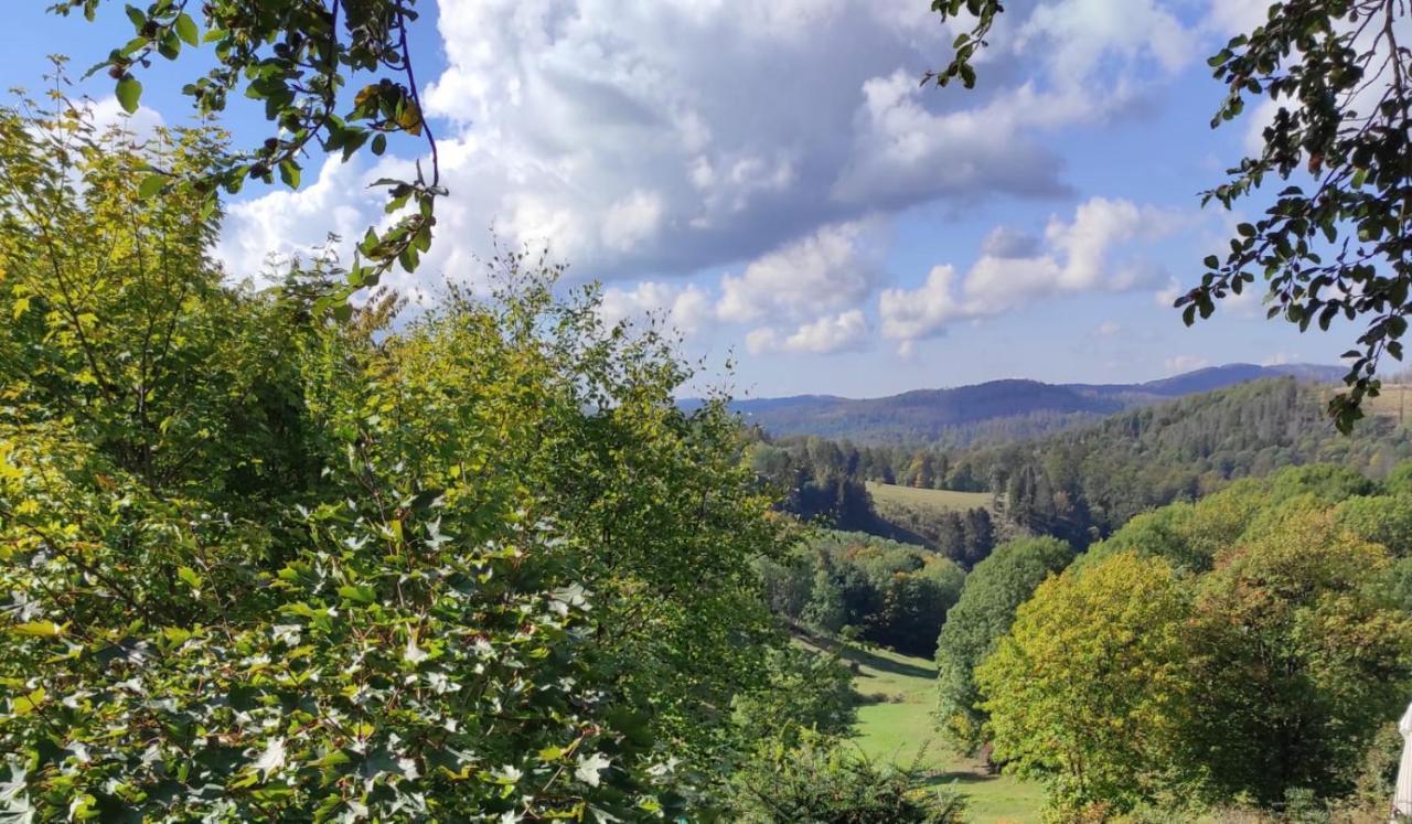 Fewo Harzer Weitblick, Hunde Willkommen, W-Lan, 2X Smart Tv, Dtv 4 Sterne, 4 Pfoten Braunlage Extérieur photo