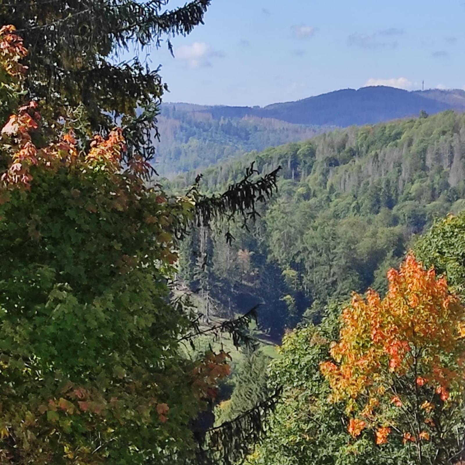 Fewo Harzer Weitblick, Hunde Willkommen, W-Lan, 2X Smart Tv, Dtv 4 Sterne, 4 Pfoten Braunlage Extérieur photo