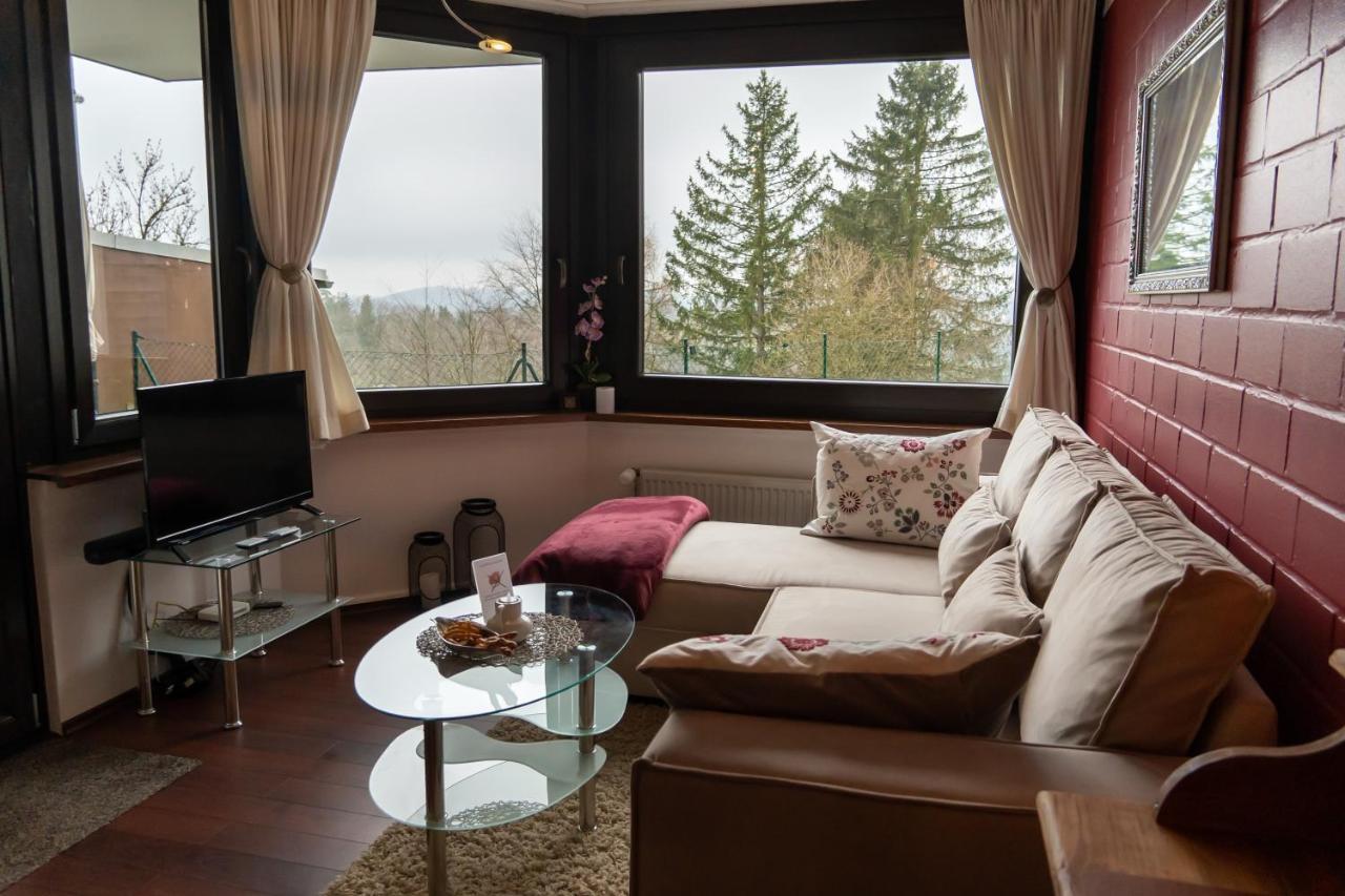 Fewo Harzer Weitblick, Hunde Willkommen, W-Lan, 2X Smart Tv, Dtv 4 Sterne, 4 Pfoten Braunlage Extérieur photo