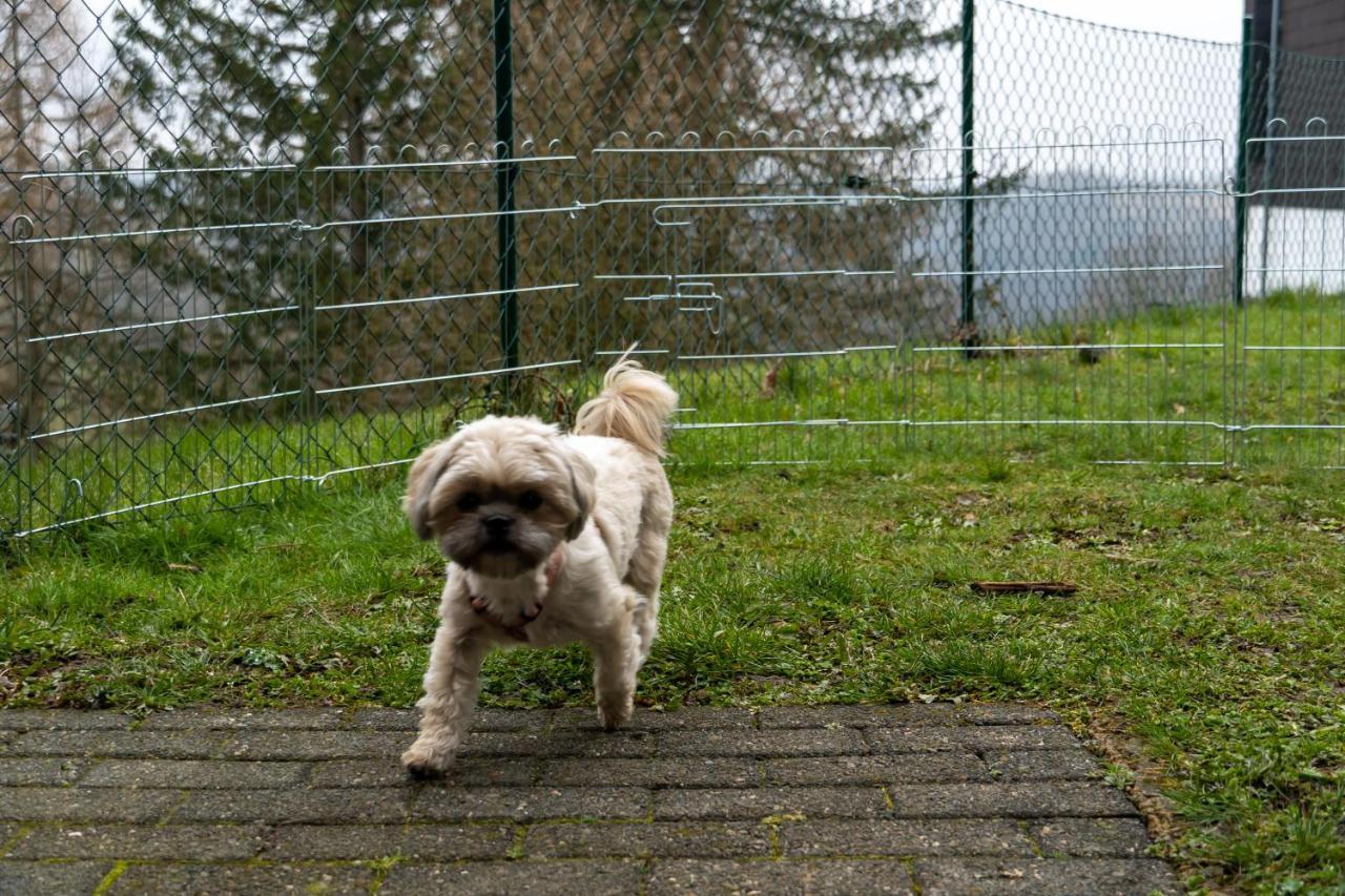 Fewo Harzer Weitblick, Hunde Willkommen, W-Lan, 2X Smart Tv, Dtv 4 Sterne, 4 Pfoten Braunlage Extérieur photo