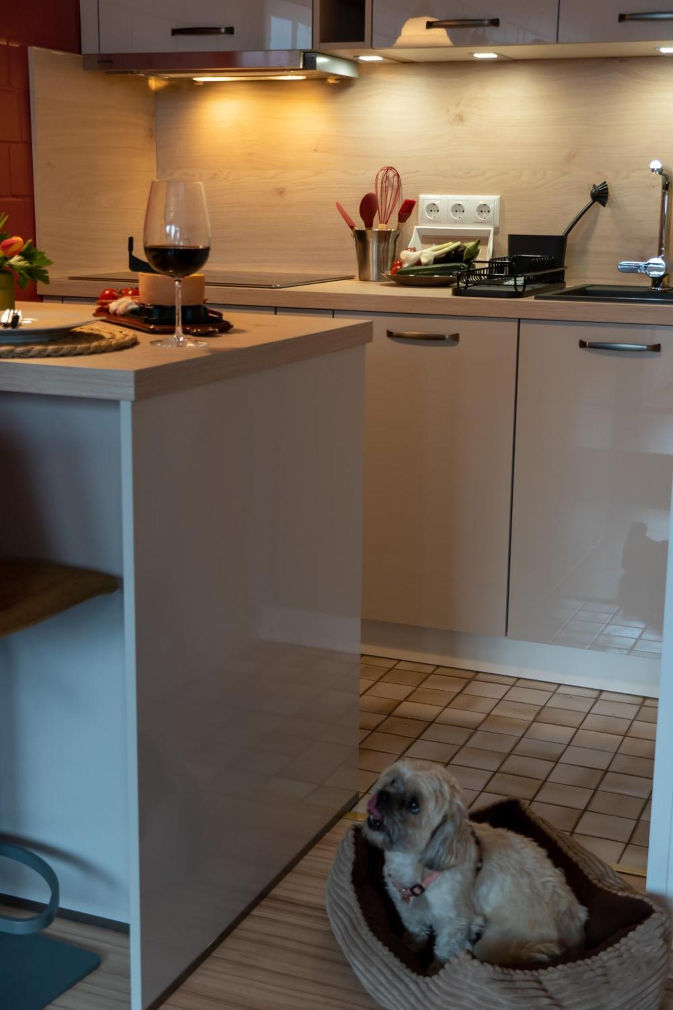 Fewo Harzer Weitblick, Hunde Willkommen, W-Lan, 2X Smart Tv, Dtv 4 Sterne, 4 Pfoten Braunlage Extérieur photo