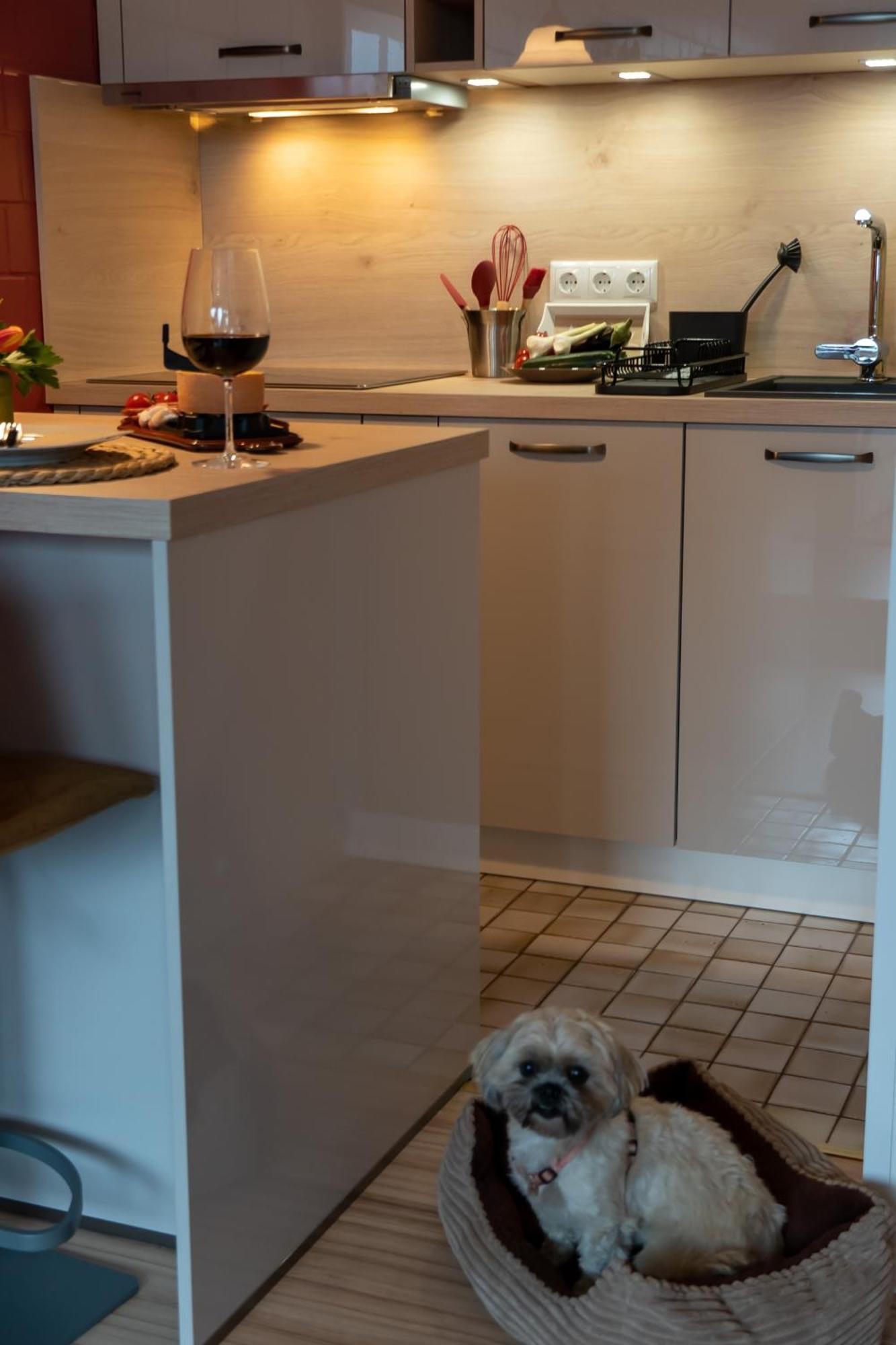 Fewo Harzer Weitblick, Hunde Willkommen, W-Lan, 2X Smart Tv, Dtv 4 Sterne, 4 Pfoten Braunlage Extérieur photo