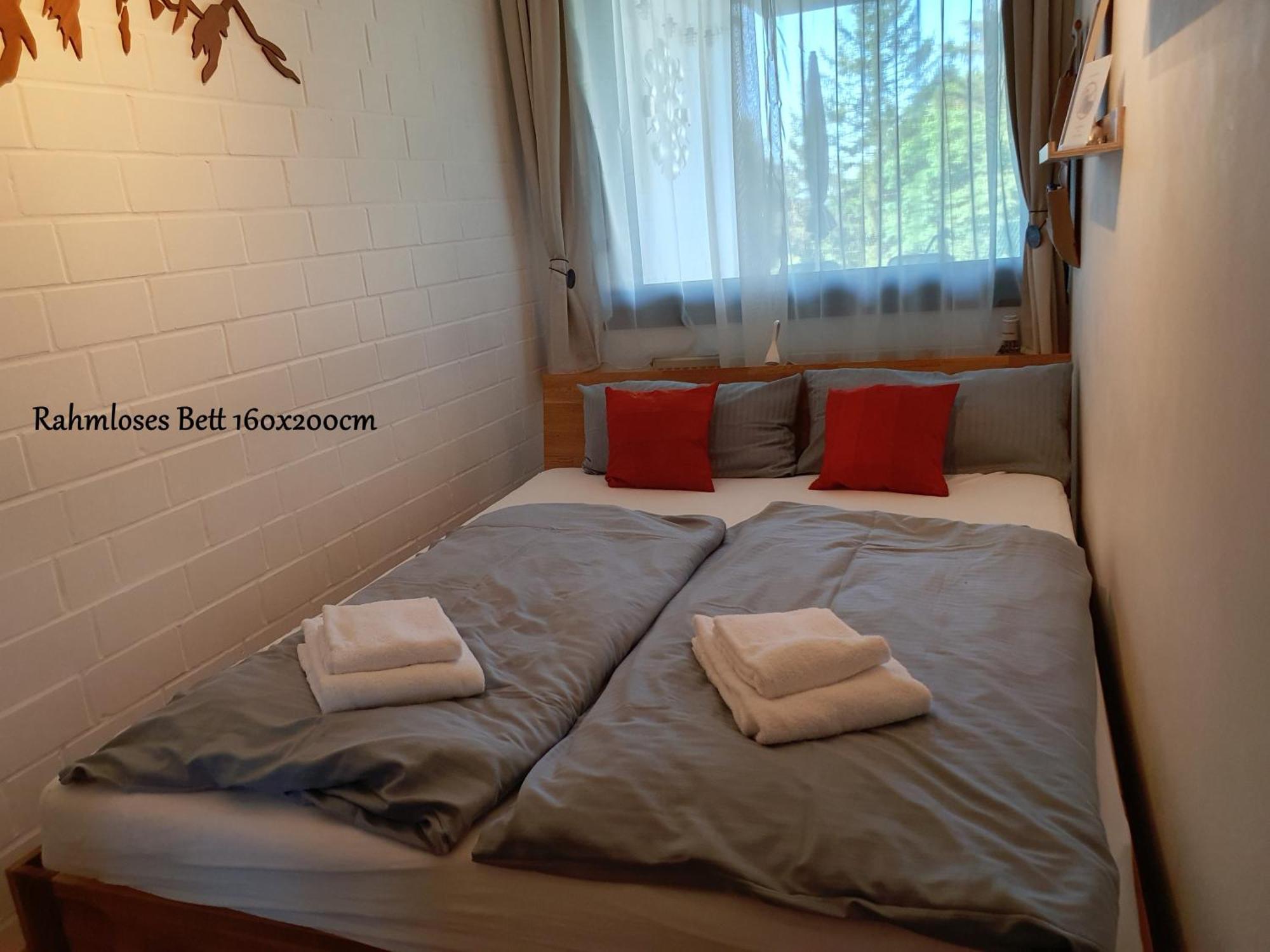 Fewo Harzer Weitblick, Hunde Willkommen, W-Lan, 2X Smart Tv, Dtv 4 Sterne, 4 Pfoten Braunlage Extérieur photo
